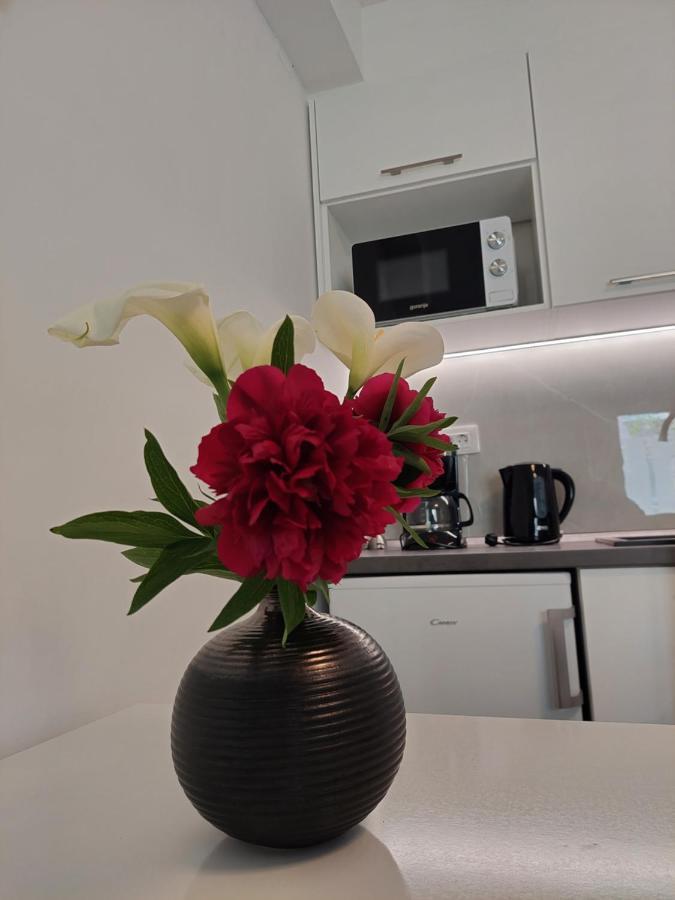 Mara Appartement *